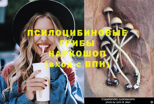 меф Армянск